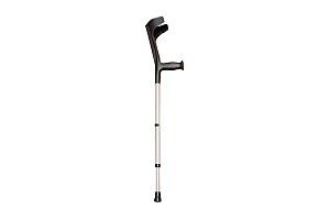 Walking stick