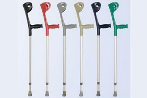 Walking stick