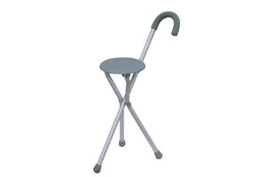 Walking stick
