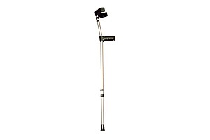 Walking stick