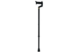 Walking stick