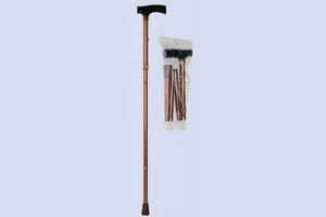 Walking stick
